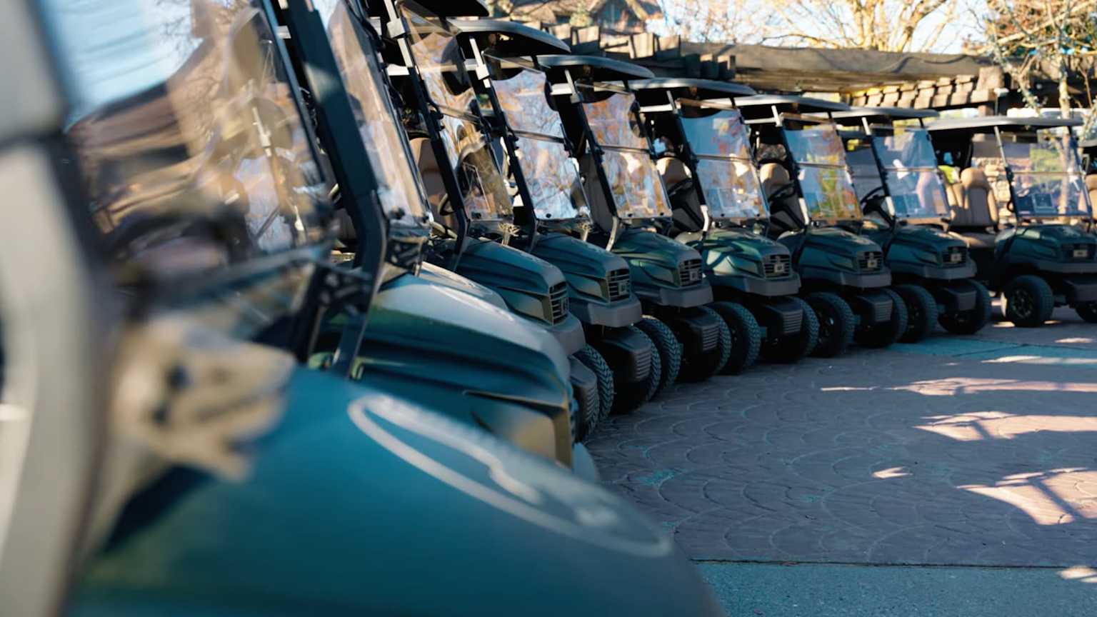 Fleet of premium golf carts at a destination resort